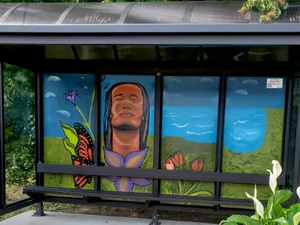 window painting Wilmington