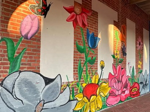 window painting Wilmington