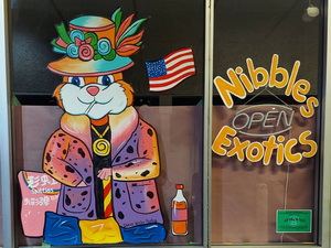 window painting Las Cruces