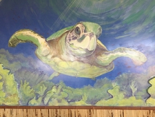 hand painted murals
